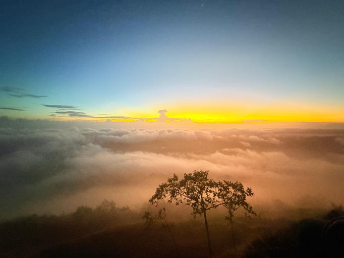 MOUNT AGUNG SUNRICE