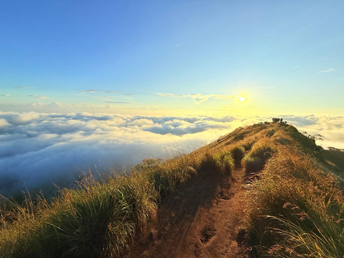 BATUR SUNRICE