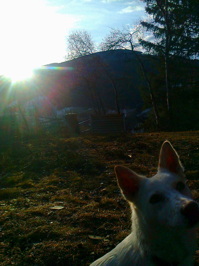 Greta nackt im Sonnenuntergang - nuda nel tramonto - naked in the dusk