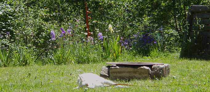 Greta nackt beim schlafen im Garten der Lust - dorme nuda nel giardino dei desideri - sleeping naked in the garden of desire