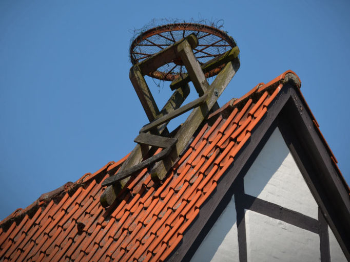 Ein Storchennest gebaut von der 3B Denkmalpflege & Bausanierung GmbH