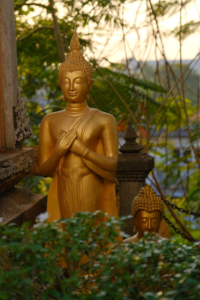 Wat Saket, temple à Bangkok, Thaïlande