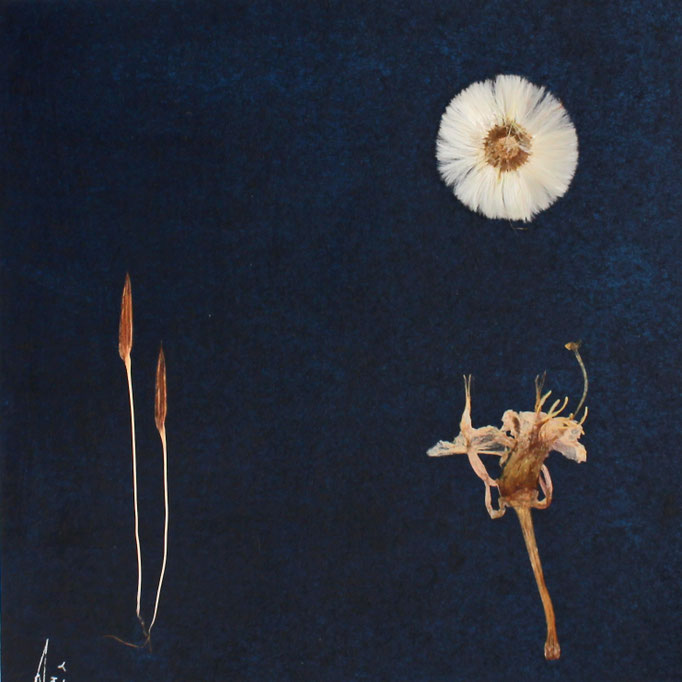 Anbetung Blumenkunst