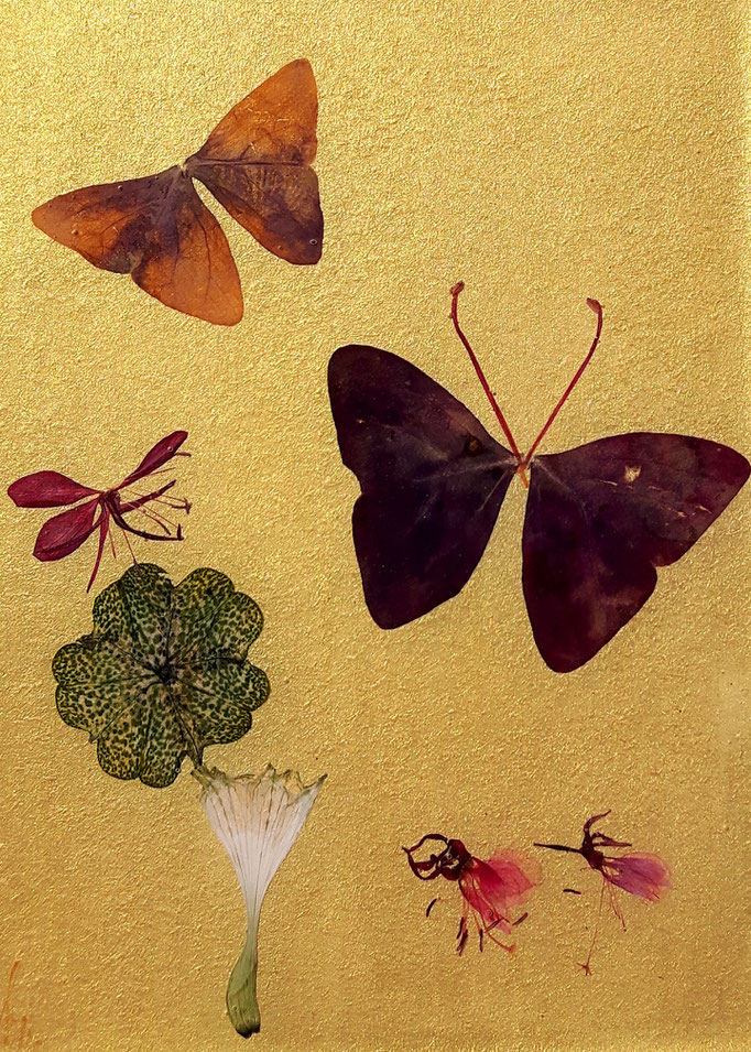 gold 01 15 x 20