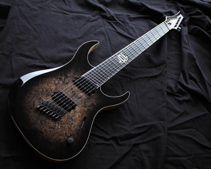 Gallery VanderMeij Guitars custom guitars made in Amsterdam