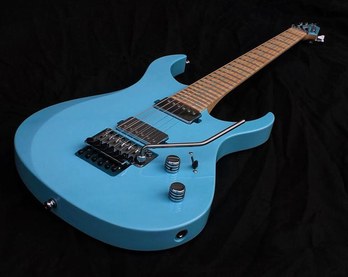 Gallery VanderMeij Guitars custom guitars made in Amsterdam