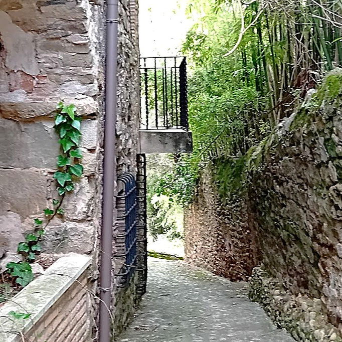 Diese Gasse führt zum "Carrer dels Artistes"