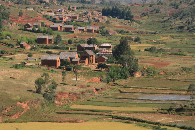 Les hauts plateaux vers TANA.