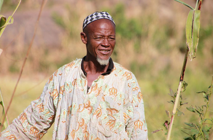 Prés du village d'IRELI en pays DOGON.