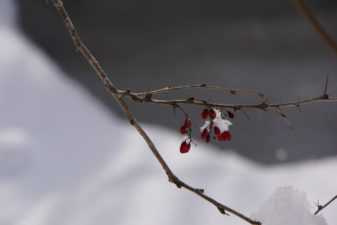 Februar