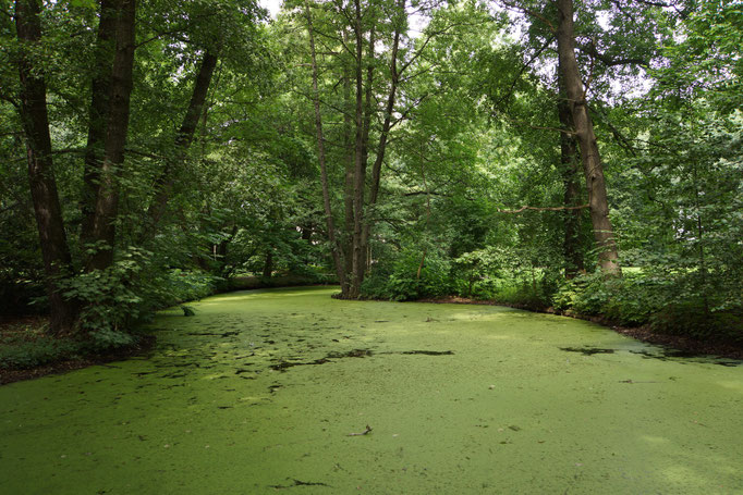 Grosser Tiergarten