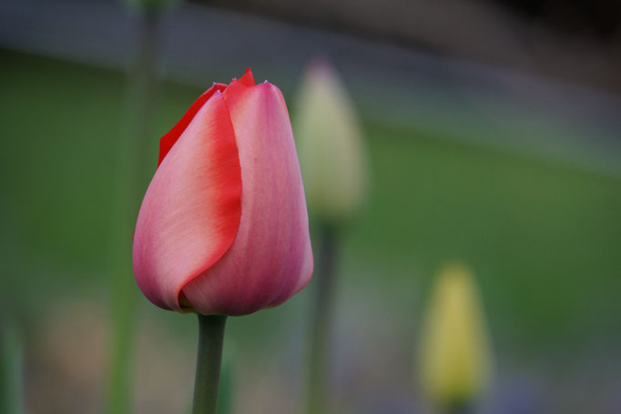 April