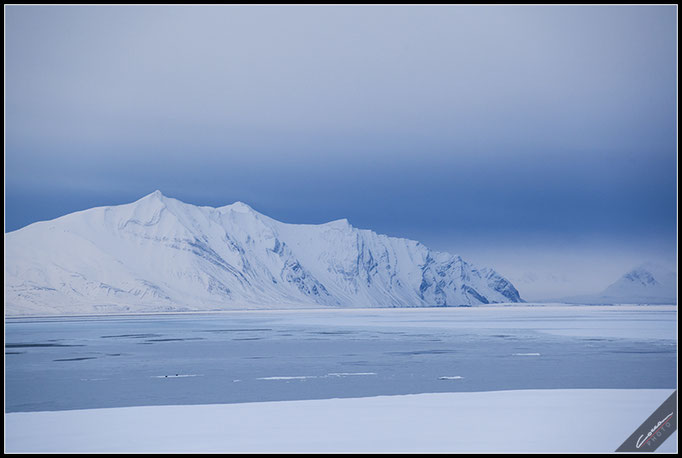 Svalbard Island