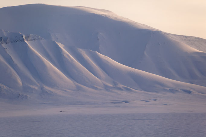 Svalbard Island