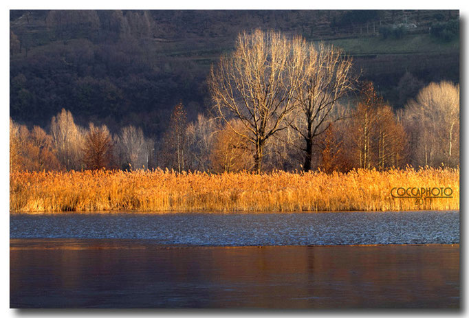 Canon eos 7D - f/10-1/200sec-iso640-10mm