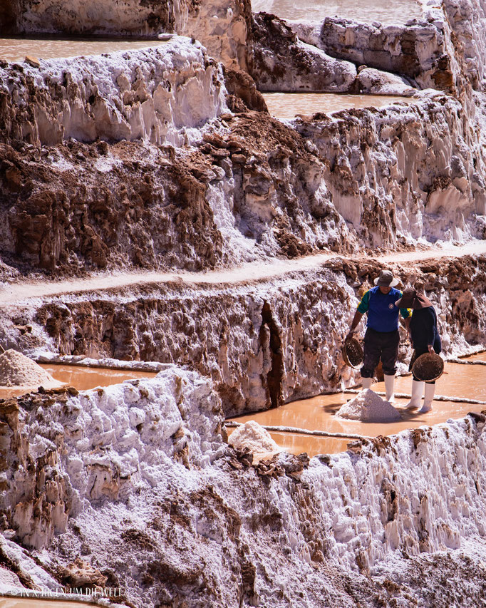 Salineras de Maras Peru