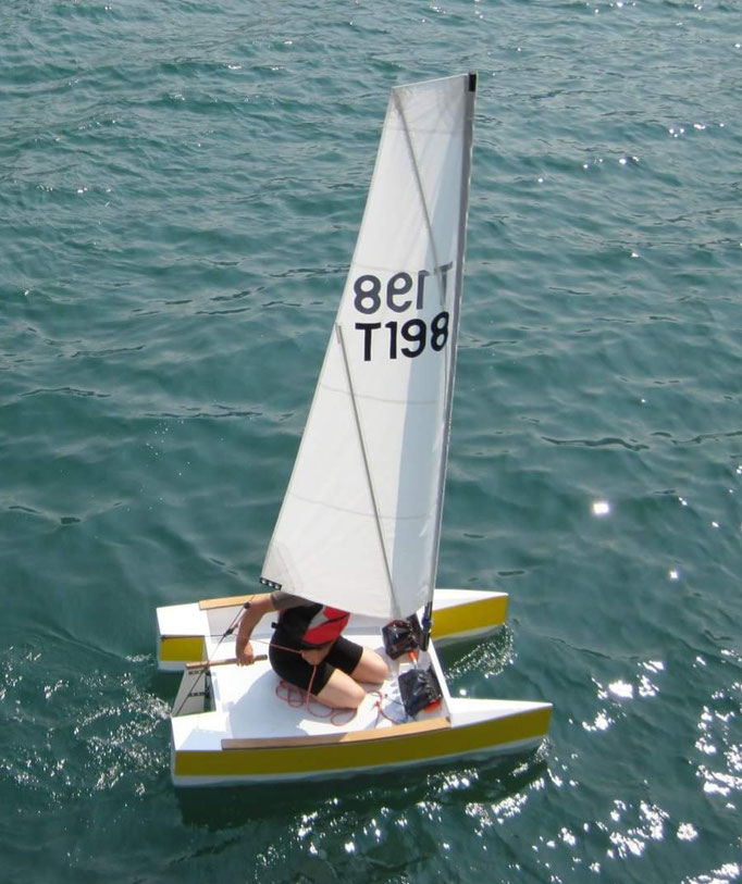 Turtle 198