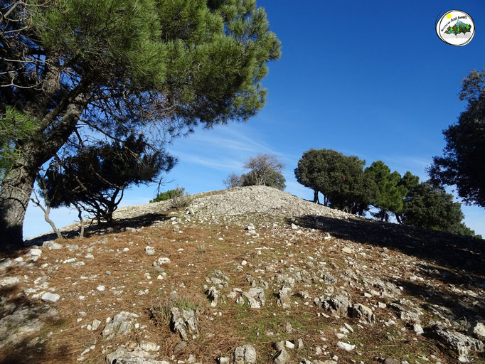 Cerro de los Pinos