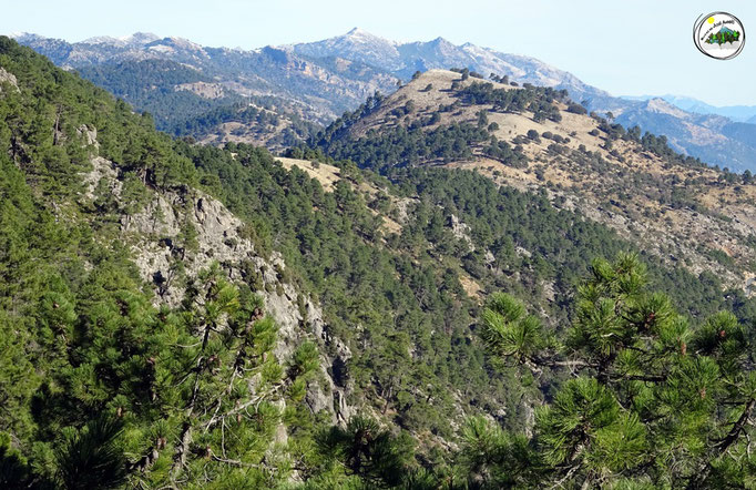 Cerro de los Atajadores y de fondo la sierra de Las Villas