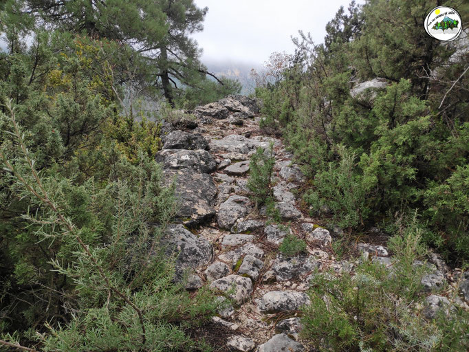 Viejo camino de los Chorrillos (Bastante perdido y arboles con rocas caídos sobre él)