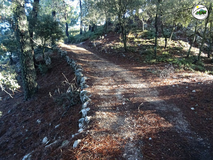 Camino de Peñalta