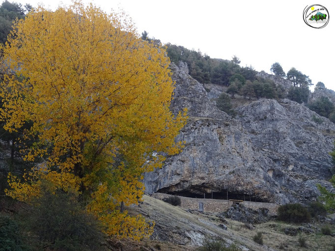 Cueva del Nacimiento