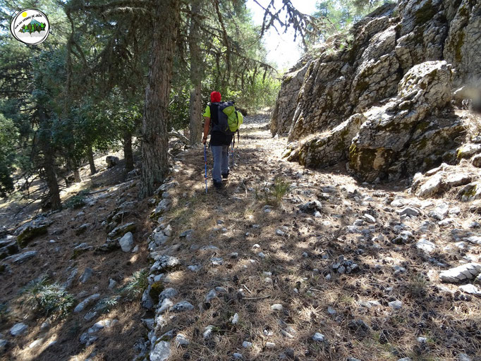 Viejo camino y bastante ancho que cogimos en Collado Bermeja hasta Fuente Acero.