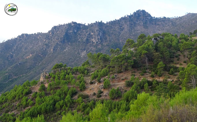 Monte Solana de Coto Ríos, La Desgajada, Piedras Morenas