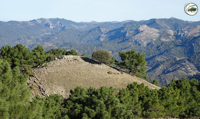Cerro de los Pinos