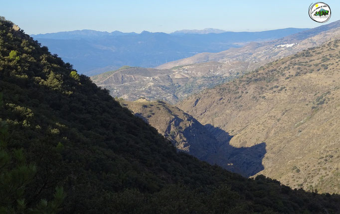 De fondo el Parque Natural Sierras de Tejeda, Almijara y Alhama