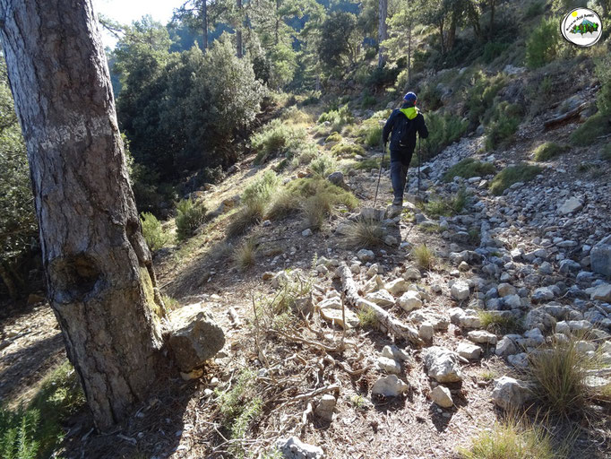 Camino que se sitúa por la parte alta del barranco Chorreaderos. En la parte alta se encuentran los Prados de Cuenca.
