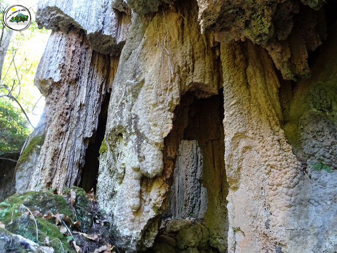 Cueva de Toba
