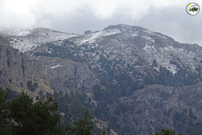 Poyos de la Carilarga y Cerro de los Tornajos.