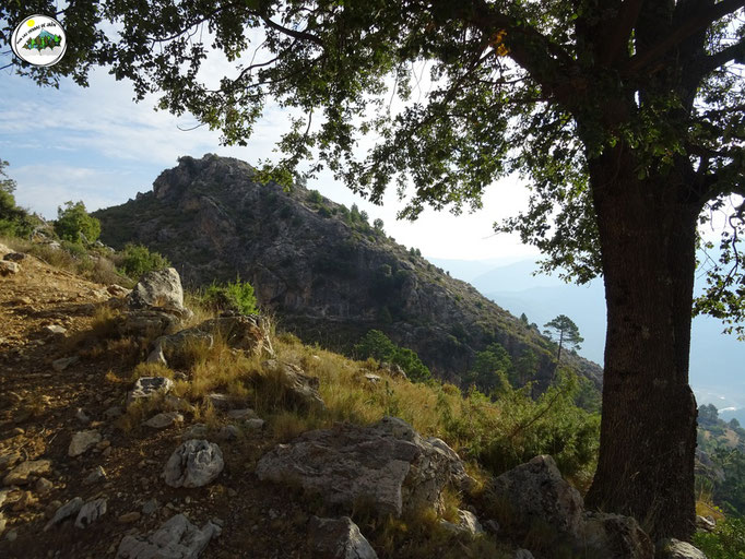 Monte Solana de Coto Ríos. Justo detrás se encuentra la C.F. El Aguadero.