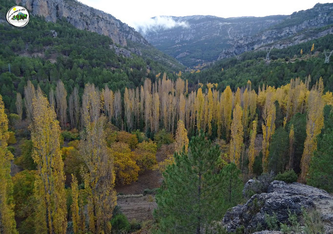 Valle del río Segura, desde la senda de Cueva Aljibe