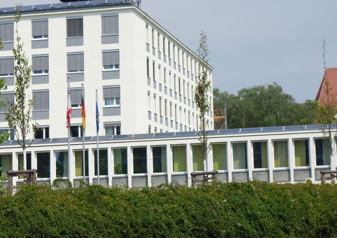 Nr. 51, 52, 53 Eiche 'Fastigiata Koster' Mittelinsel Altstädter Ring