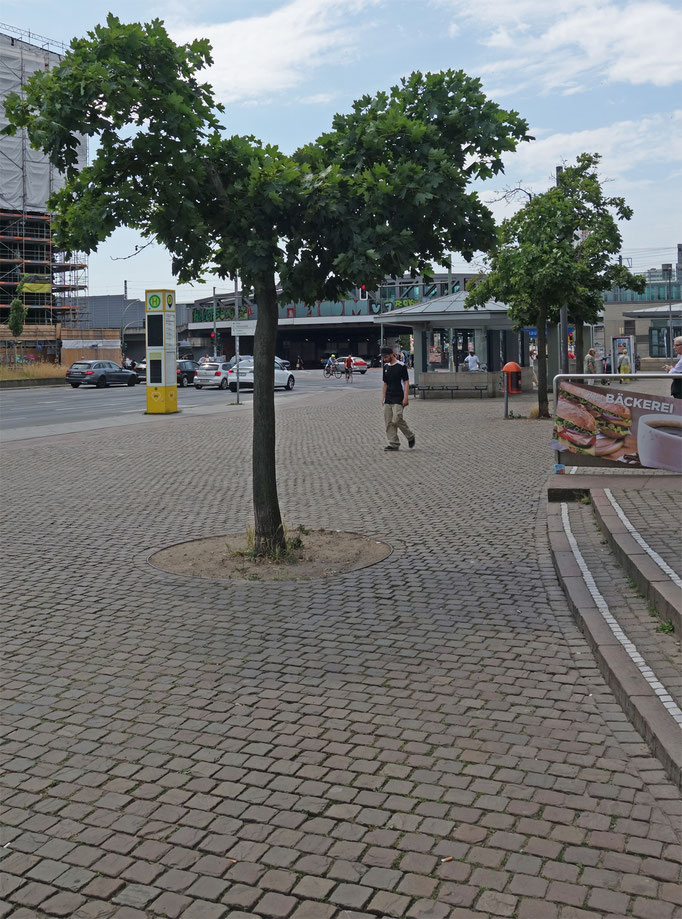 Nr. 34, 33, 32 Altstädter Ring
