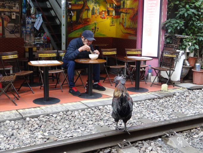 Coq sur rail - Hanoï (Vietnam) 2025