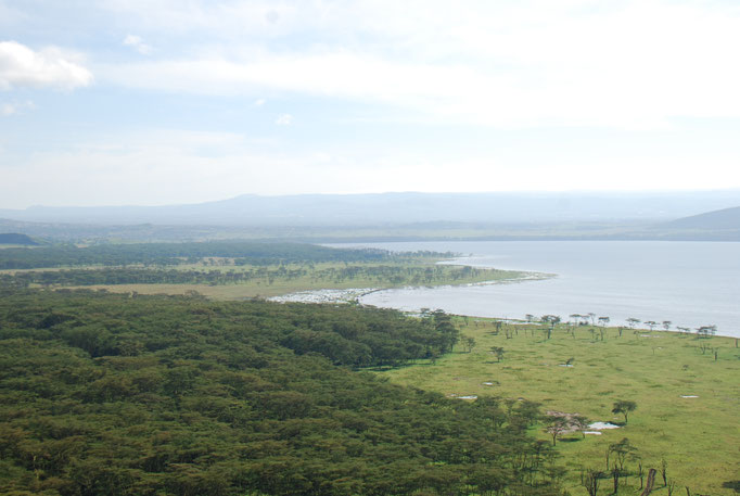 Nakuru Nationalpark, Pavianfelsen, Blick auf den Nakuru See