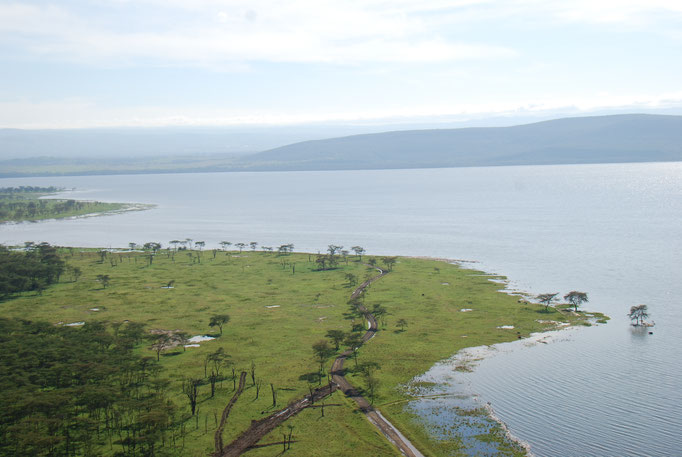 Nakuru Nationalpark, Pavianfelsen, Blick auf den Nakuru See
