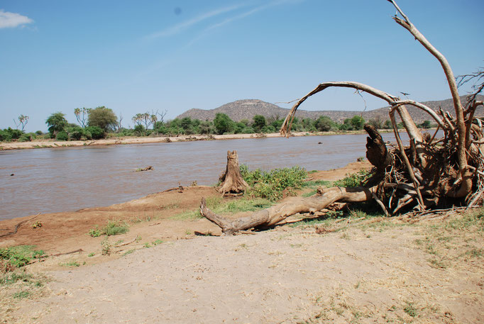 Samburu Nationalpark,  am Uaso Nyiro Fluss