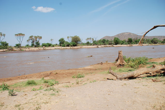 Samburu Nationalpark,  am Uaso Nyiro Fluss
