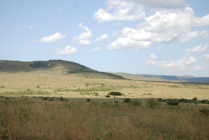 Massai Mara 