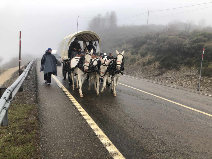 El Rocío - Wallfahrt nach Santiago und Zurück