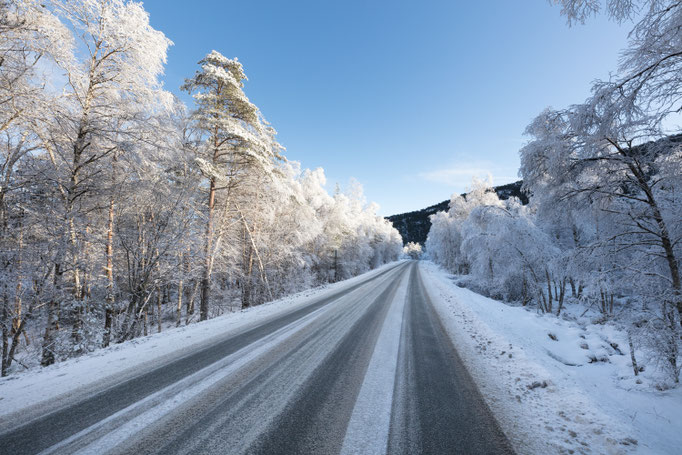 Norwegen, Tøtlandsvik, Solvag Fjordferien, Ralph Gröger, rallephoto, www.rallephoto.jimdo.com