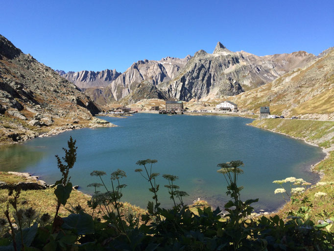 Grand San Bernard