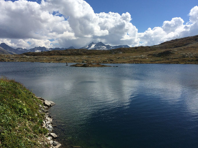 Grimselpass