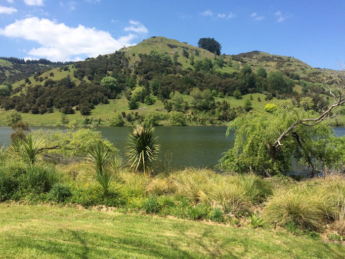 Taranaki