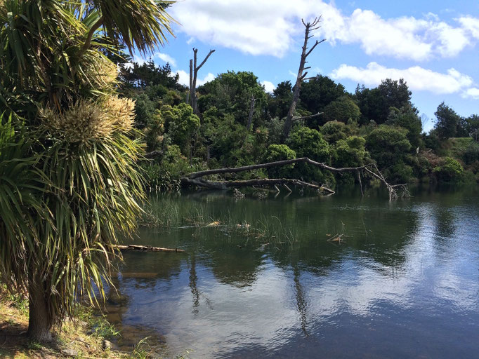 Taranaki