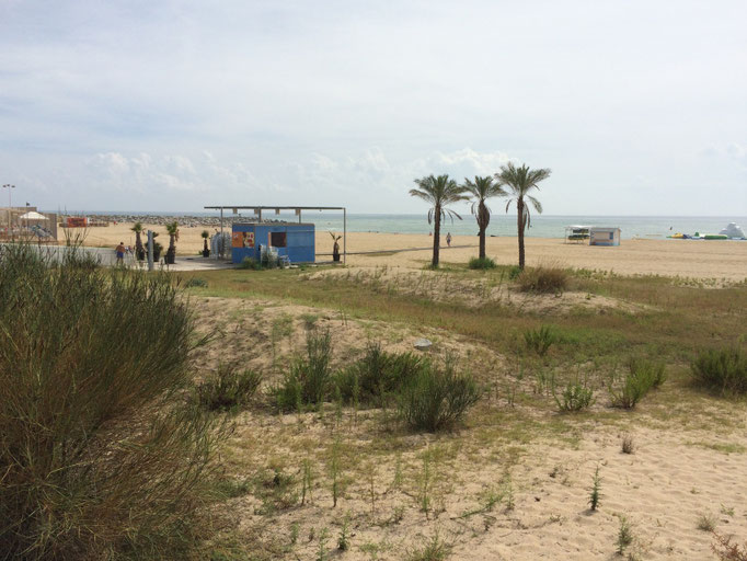 Mataro